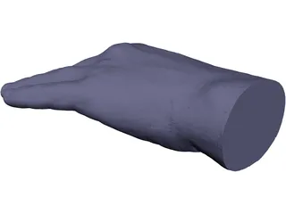 Hand Left 3D Model