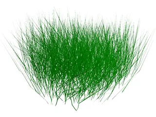 Grass 3D Model