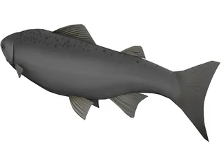 Happy Fish 3D Model