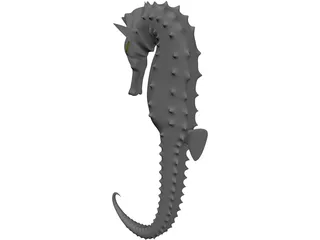 Hippocampe 3D Model