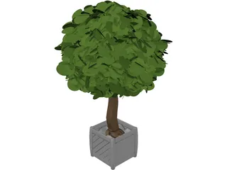 Tree 3D Model