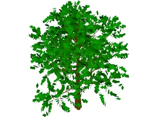 Baum Tree 3D Model