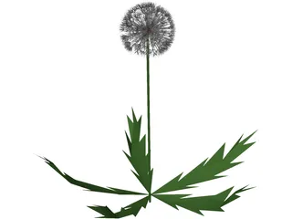 Dandelion 3D Model