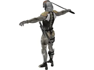 Raiden 3D Model