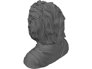 Albert Einstein 3D Model