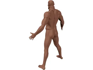 Man 3D Model