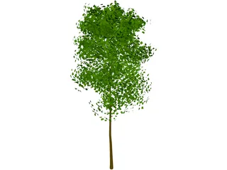 Tree 3D Model