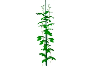 Plant 3D Model