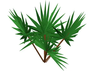 Palmetto Plant 3D Model