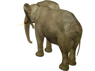 Elephant 3D Model