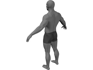 Male 3D Model