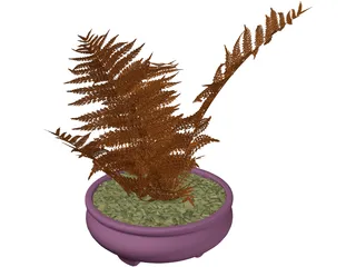 House Plant 3D Model