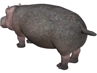 Hippopotamus 3D Model