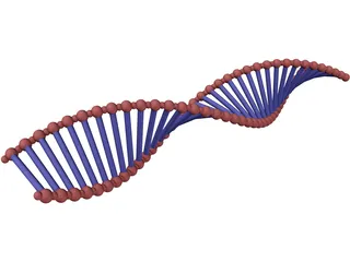 DNA Double Helix 3D Model