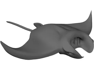 Manta Ray 3D Model