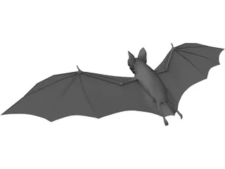 Bat 3D Model