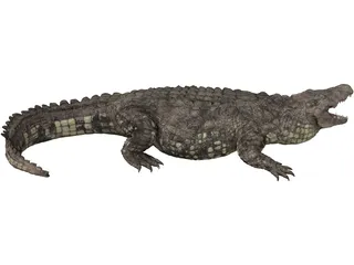 Crocodile 3D Model