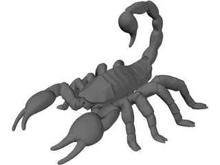 Scorpion 3D Model