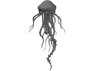 Jelly Fish 3D Model