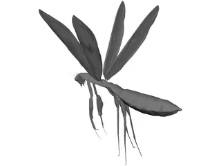 Flying Mantis 3D Model