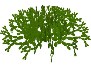 Opuntia 3D Model