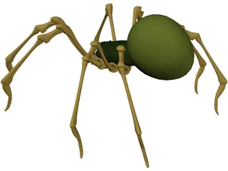 Spider 3D Model