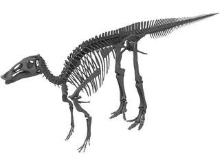 Edmontosaurus Skeleton 3D Model