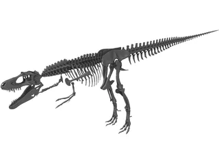 Gorgosaurus Skeleton 3D Model