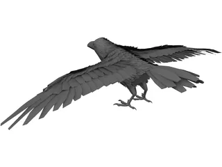 Raven 3D Model