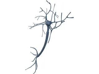 Neuron 3D Model