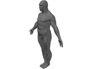 Male Human Figure 3D Model