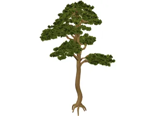 Pine 3D Model