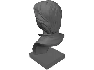 Han Solo Bust 3D Model