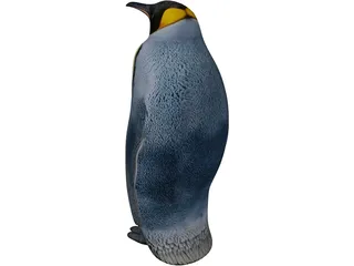 Penguin 3D Model