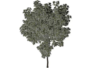 Arbol Tree 3D Model