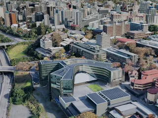 Auckland City, New Zealand (2019) 3D Model