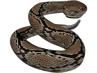 Rattlesnake 3D Model