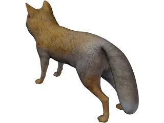 Tibetan Hill Fox 3D Model