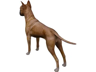 German Boxer 3D Model