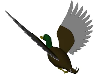 Duck Flying 3D Model