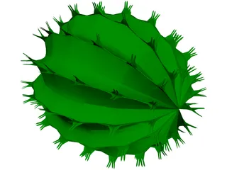 Barrel Cactus 3D Model
