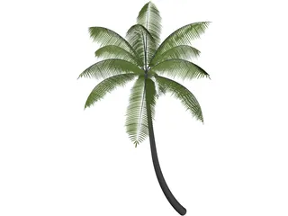 Palm 3D Model