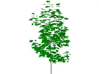 Tree 3D Model