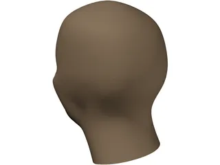 Human Head 3D Model