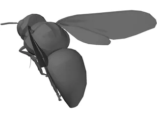 Bee 3D Model