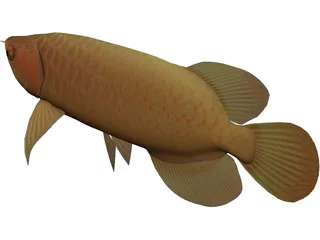 Asia Arowana 3D Model