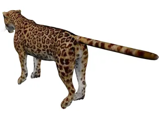 Jaguar 3D Model