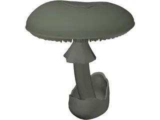 Amanita Phalloides: Death Cap Mushroom 3D Model