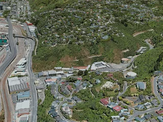 Wellington City, New Zealand (2020) 3D Model