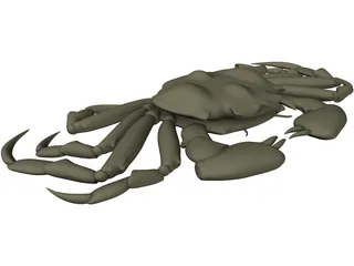 Chinese Mitten Crab 3D Model